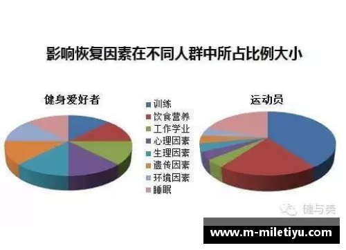 职业球员的营养与饮食：优化训练表现的关键因素