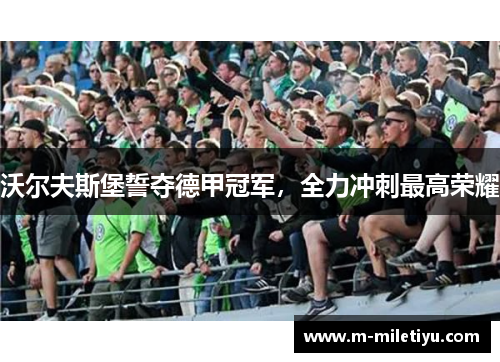 沃尔夫斯堡誓夺德甲冠军，全力冲刺最高荣耀